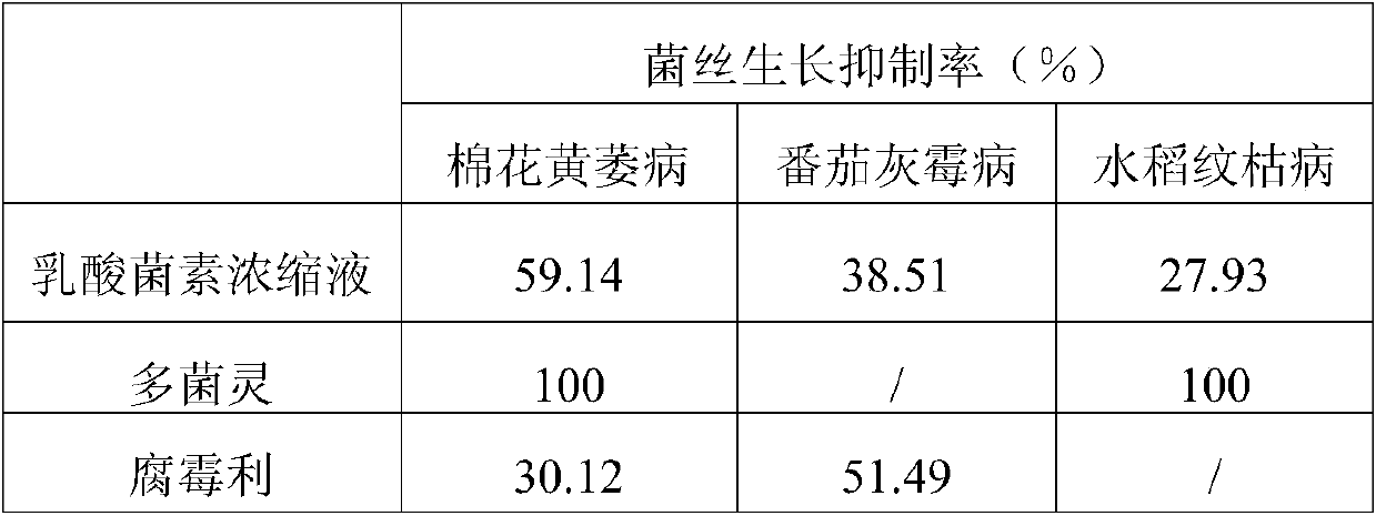 A kind of lactobacillus fermentum and its application in plant fungal disease control