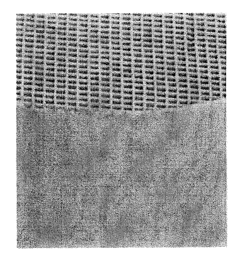 Cordierite ceramic and method for manufacturing the same