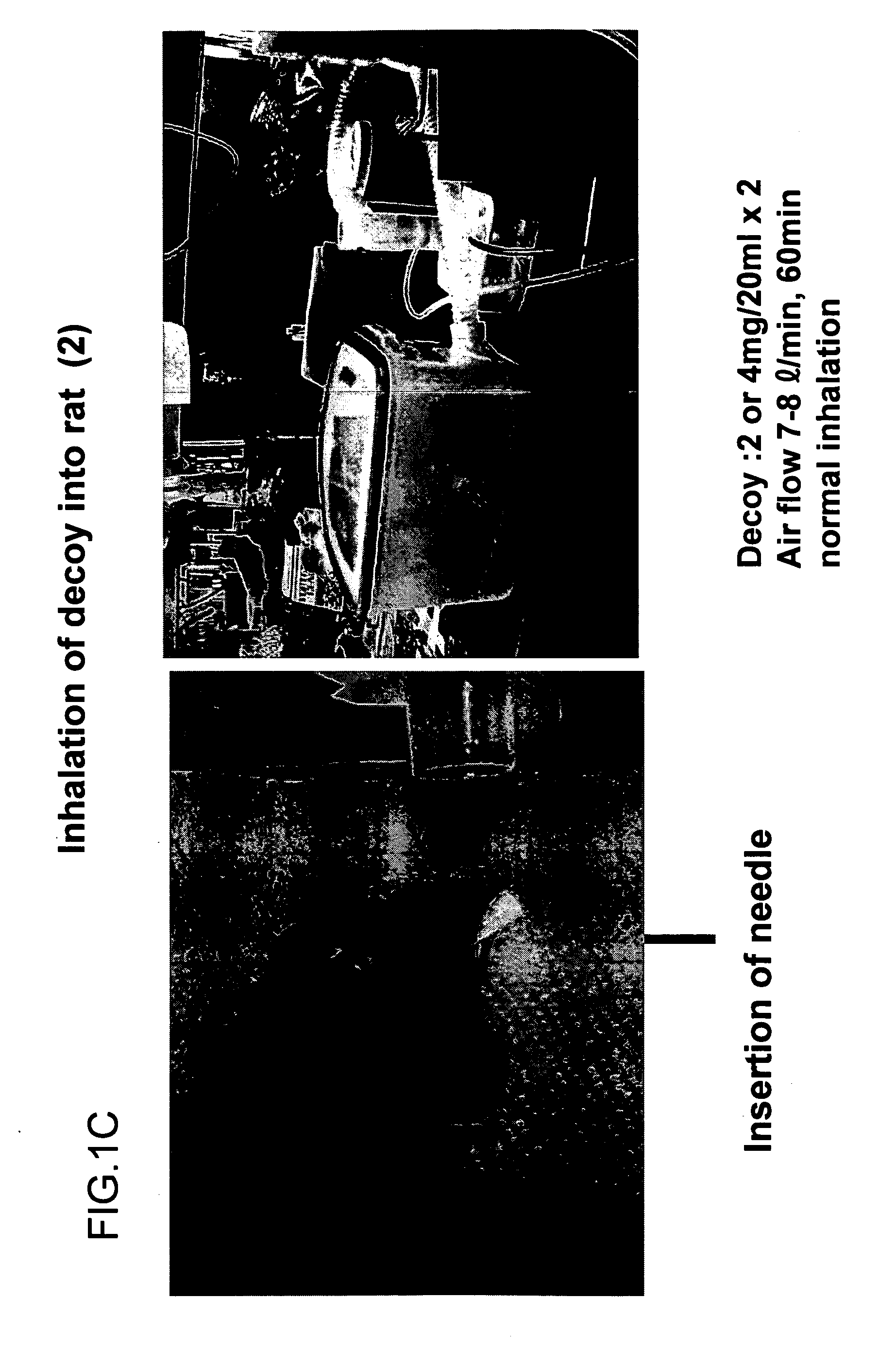 Medical composition containing nf-kb decoy for treating and preventing respir atory diseases and method of using the same