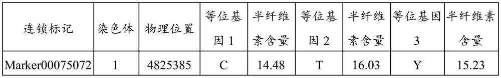 SNP molecular marker associated with hemi-cellulose content of raw ramie and application thereof