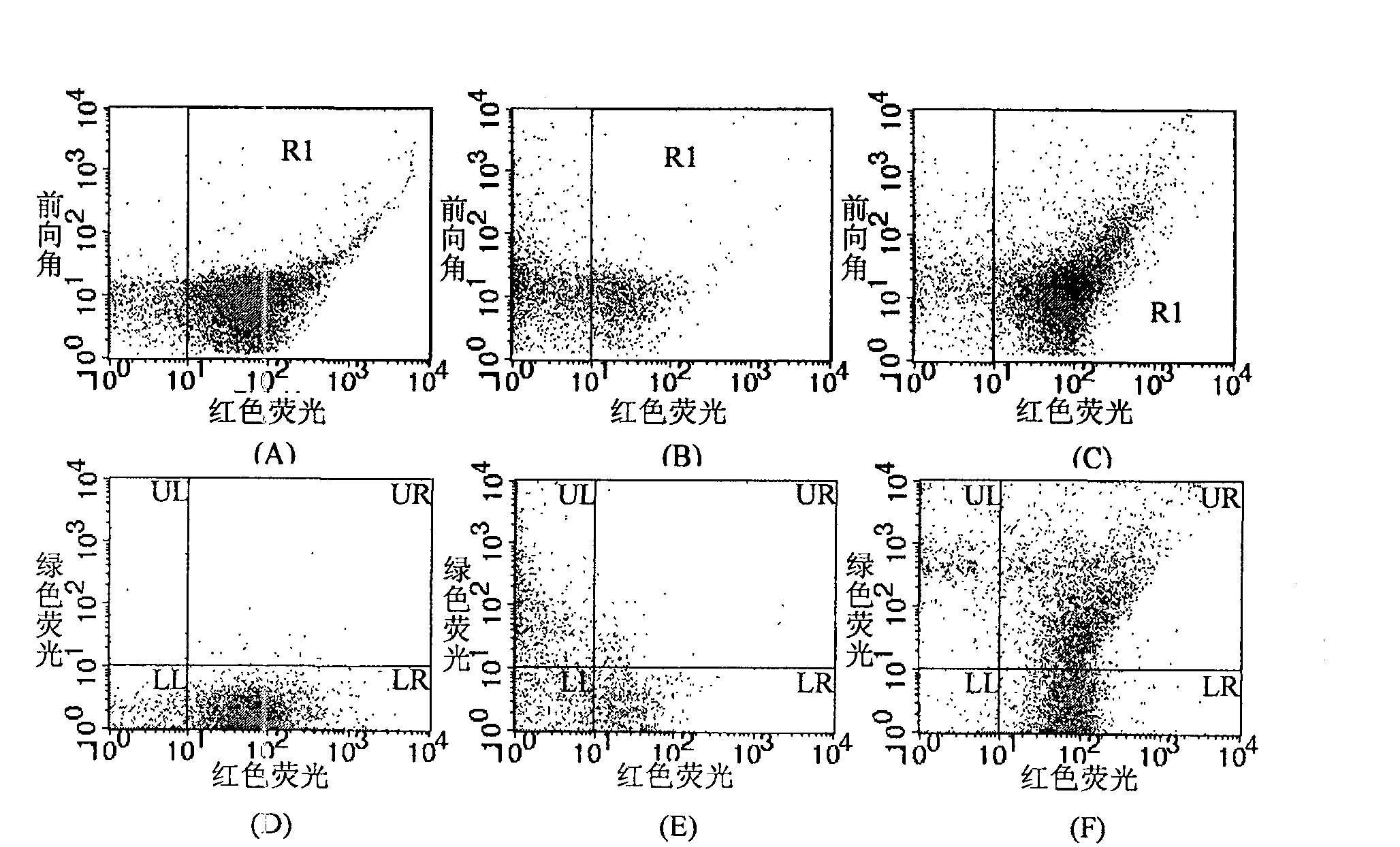 Method for detecting bacillus tubercle by adopting double-color flow cytometry