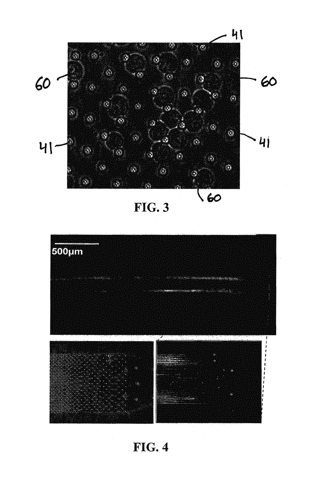 Microfluidic device for extracting, isolating, and analyzing DNA from cells