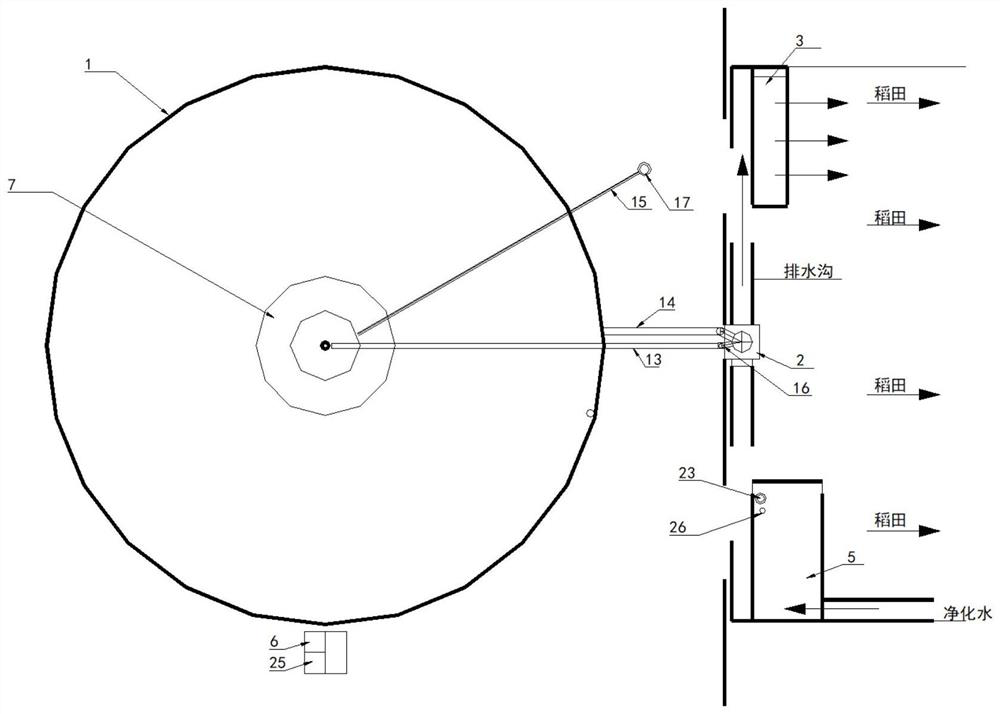 High-efficiency low-carbon circulating rice and fish culture system and culture method