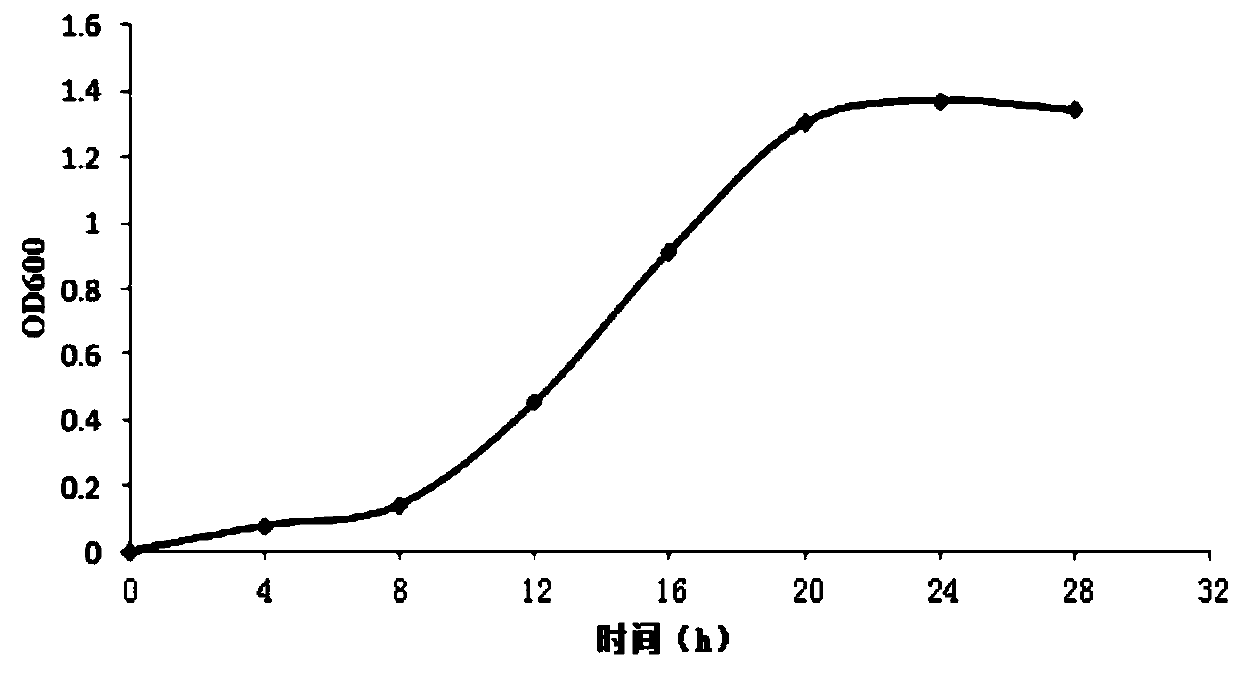 A strain of Lactobacillus paracasei and its application