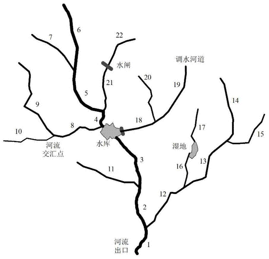 A River Network Construction Method for Biodiversity Conservation and Its Application