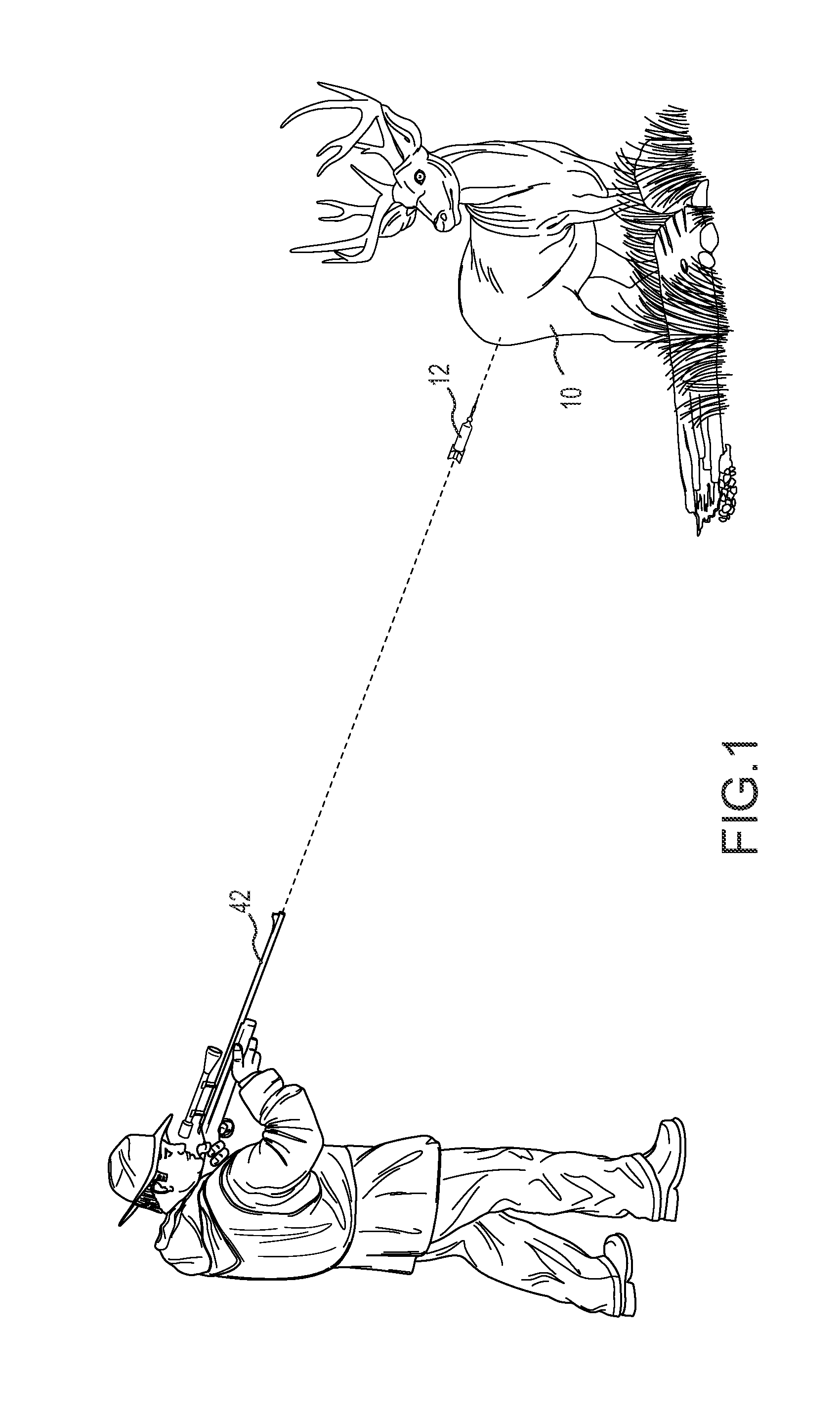 Pharmaceutical Combination for and Method of Anesthetizing and Immobilizing Non-Domesticated Mammals