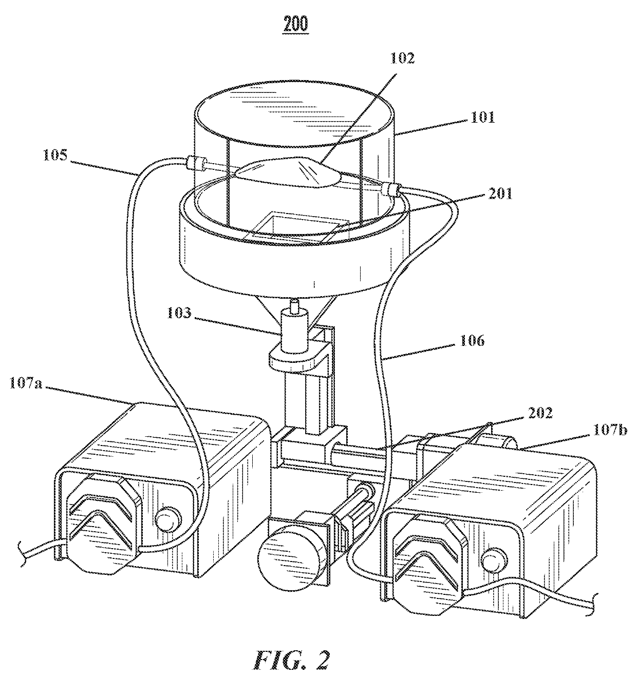 System and method for noninvasively assessing bioengineered organs