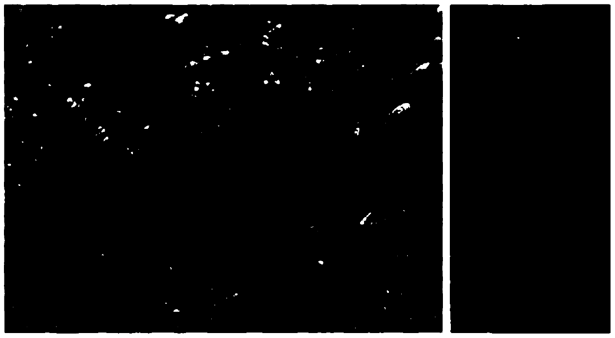 A kind of oriented and ordered mineralization material for tooth enamel and preparation method thereof