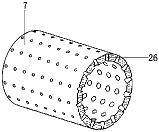 Drum-type drying device for dendrobium officinale processing