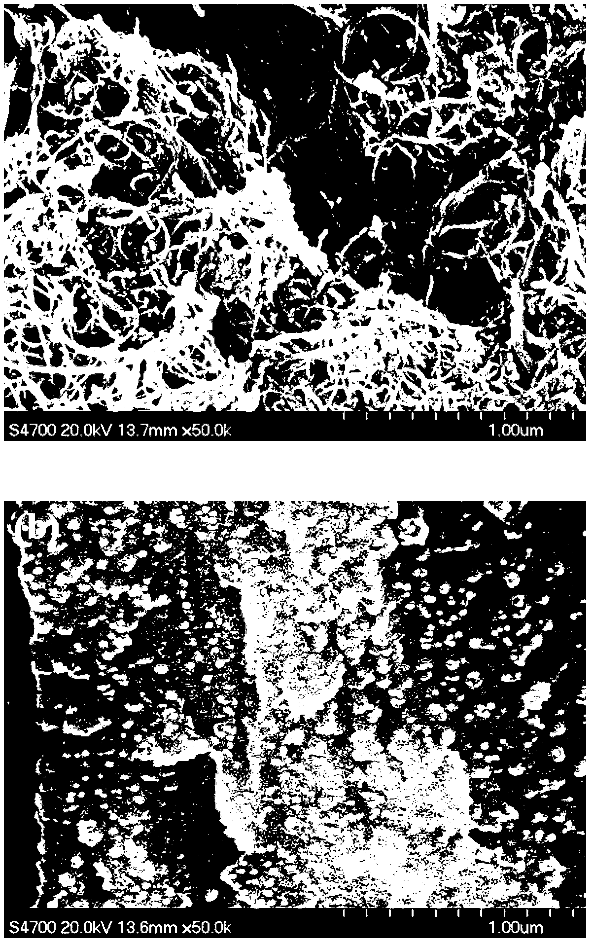 Preparation method and application of polypyrrole-multiwalled carbon nanotube collaboratively-modified palladium-carried composite electrode