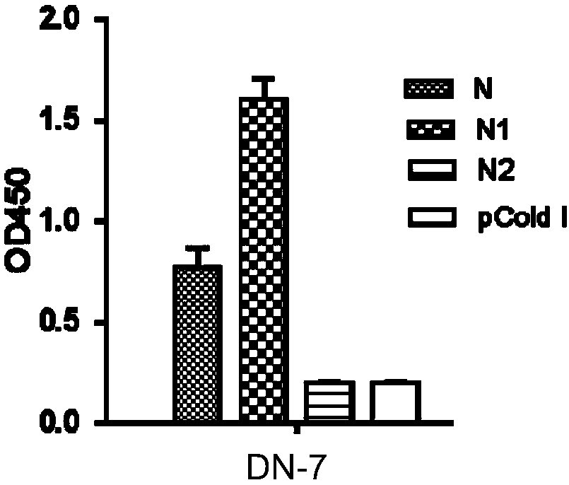 Pig Delta coronavirus N-protein monoclonal antibody and epitope and application thereof