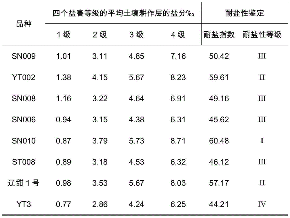 Salt-tolerant sorgo germplasm identification method