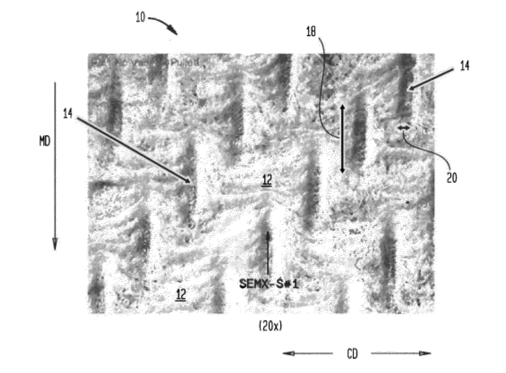 Absorbent Sheet of Cellulosic Fibers