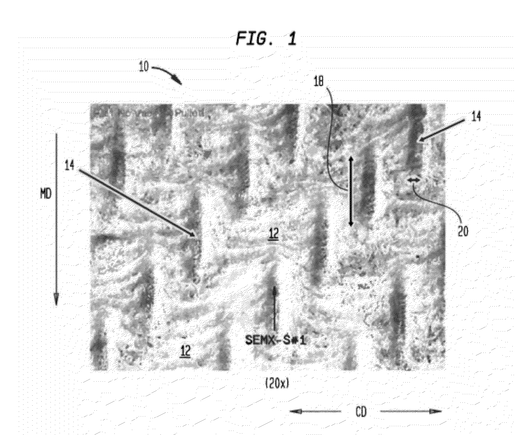 Absorbent Sheet of Cellulosic Fibers