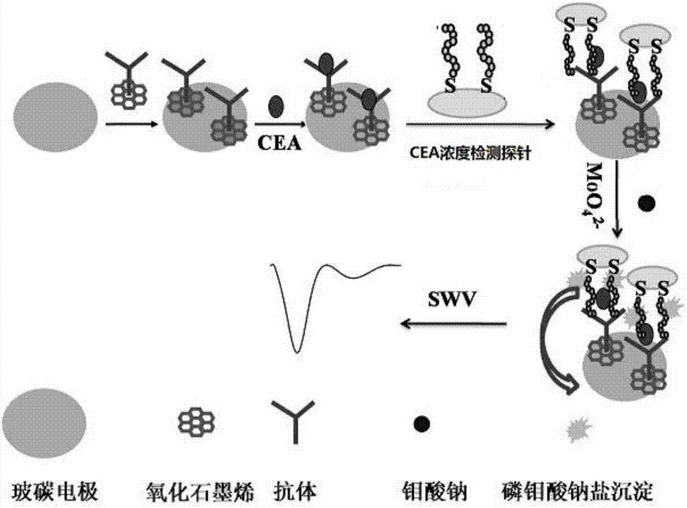 CEA concentration detection probe, preparation method and applications thereof, and CEA concentration detection biosensor