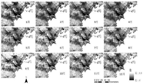 Near-surface atmospheric fine particulate matter concentration estimation method based on space-time weighted regression model