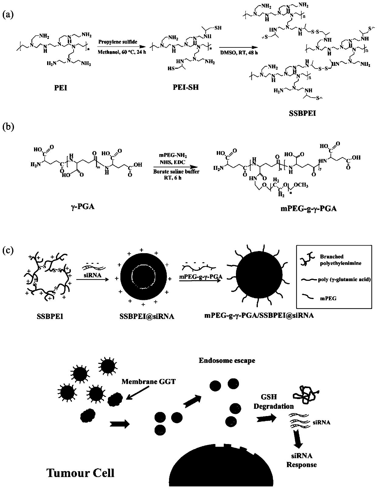 Reductive polyglutamic acid/polyethyleneimine/siRNA composite nanoparticles as well as preparation and application thereof