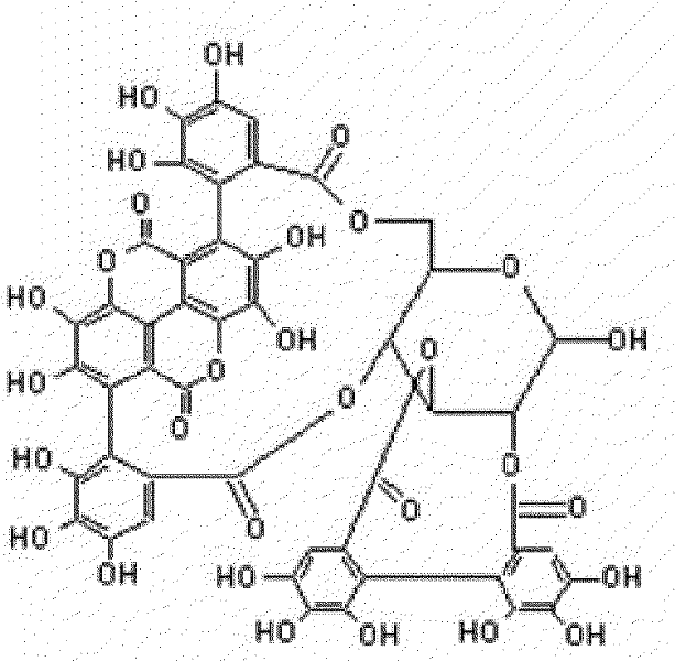 Method for simultaneously extracting punicalagin and ellagic acid from pomegranate bark