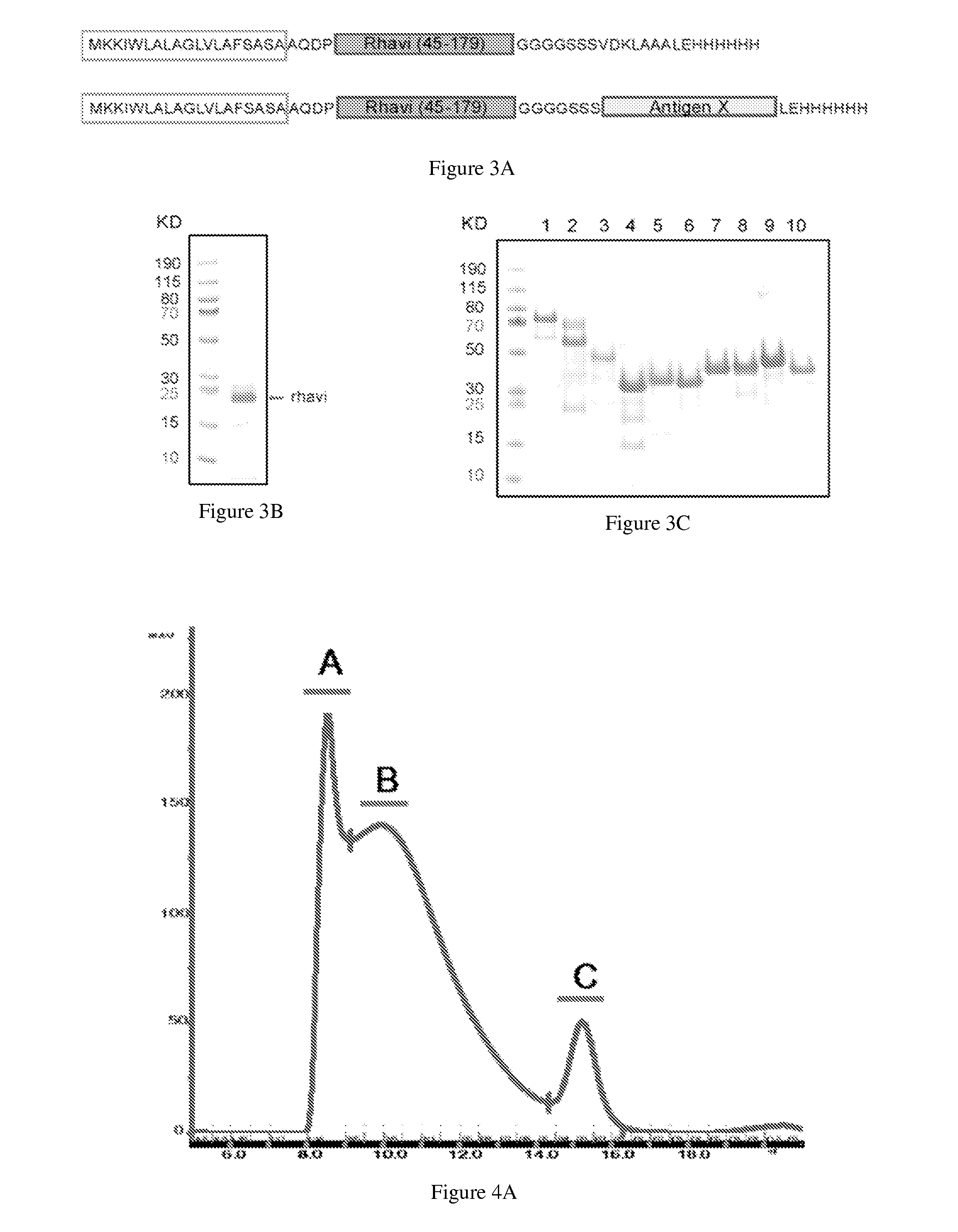 Multiple antigen presenting immunogenic composition, and methods and uses thereof