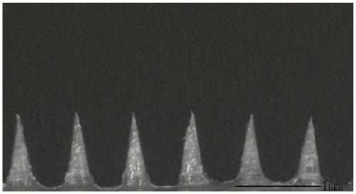 Soluble microneedle for promoting hair growth and preparation method