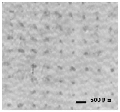 Soluble microneedle for promoting hair growth and preparation method