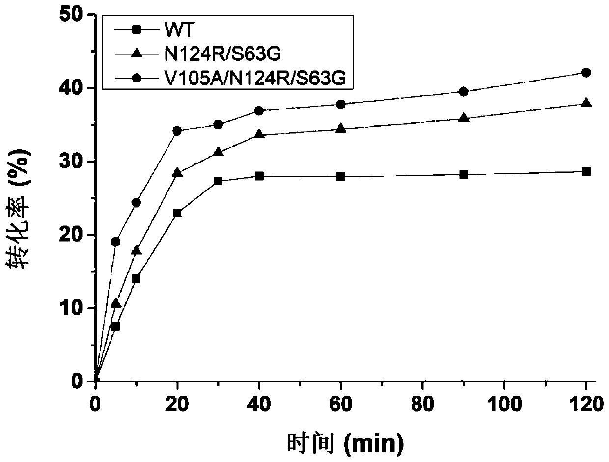 Mutant of D-allulose 3-epimerase and application of mutant