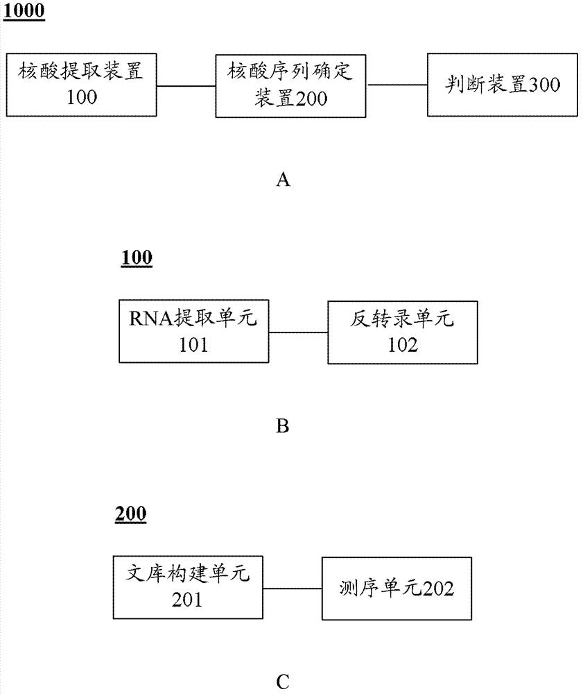 SNRNP200 gene mutant and application thereof