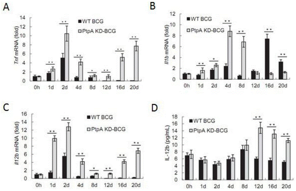 Recombinant Bacillus Calmette-Guerin vaccine and construction and application thereof