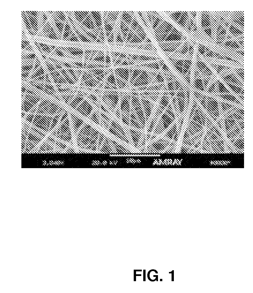 Electrospun matrices for delivery of hydrophilic and lipophilic compounds
