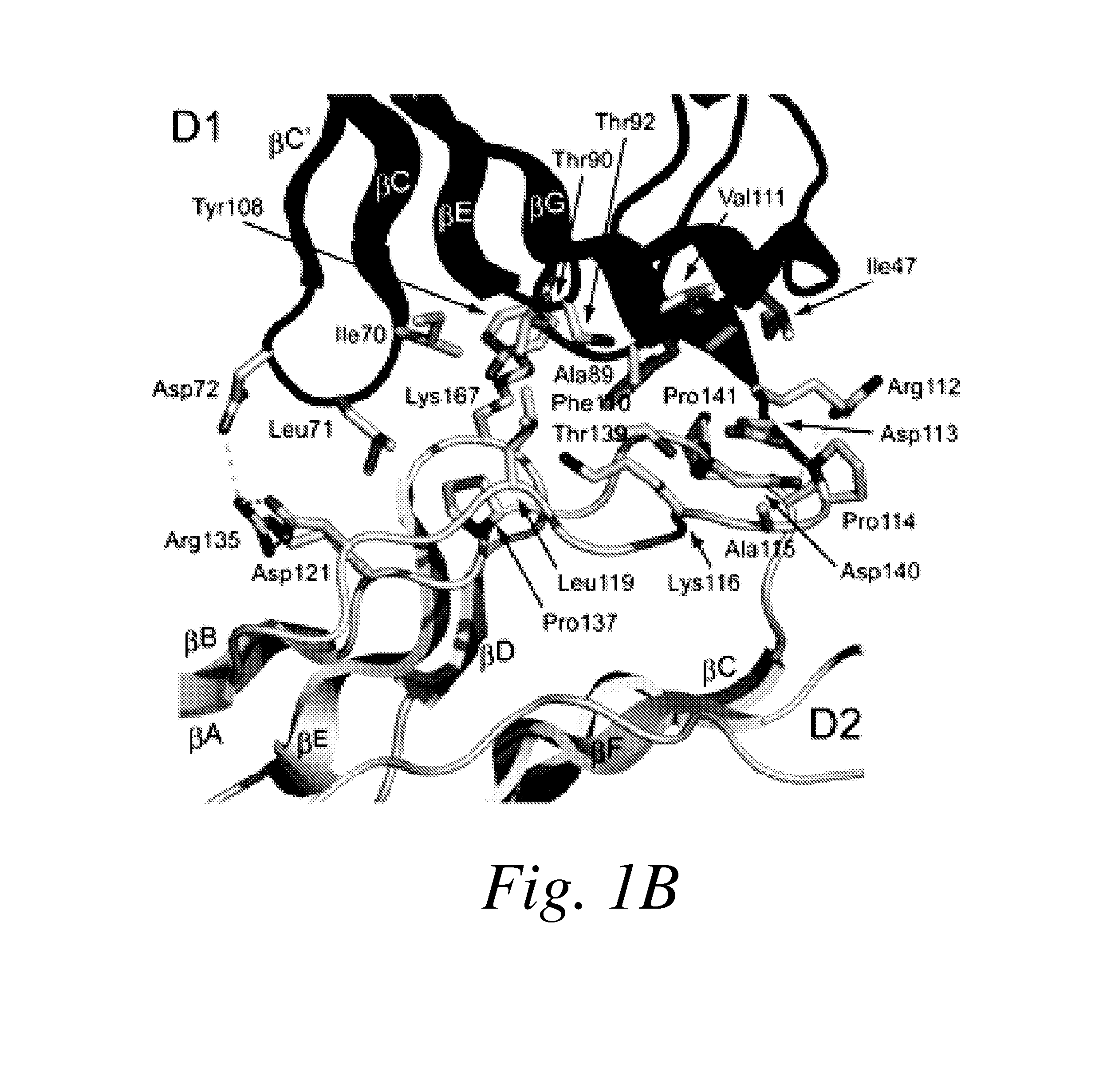 Inhibitors of vascular endothelial growth factor (VEGF) receptors and methods of use thereof