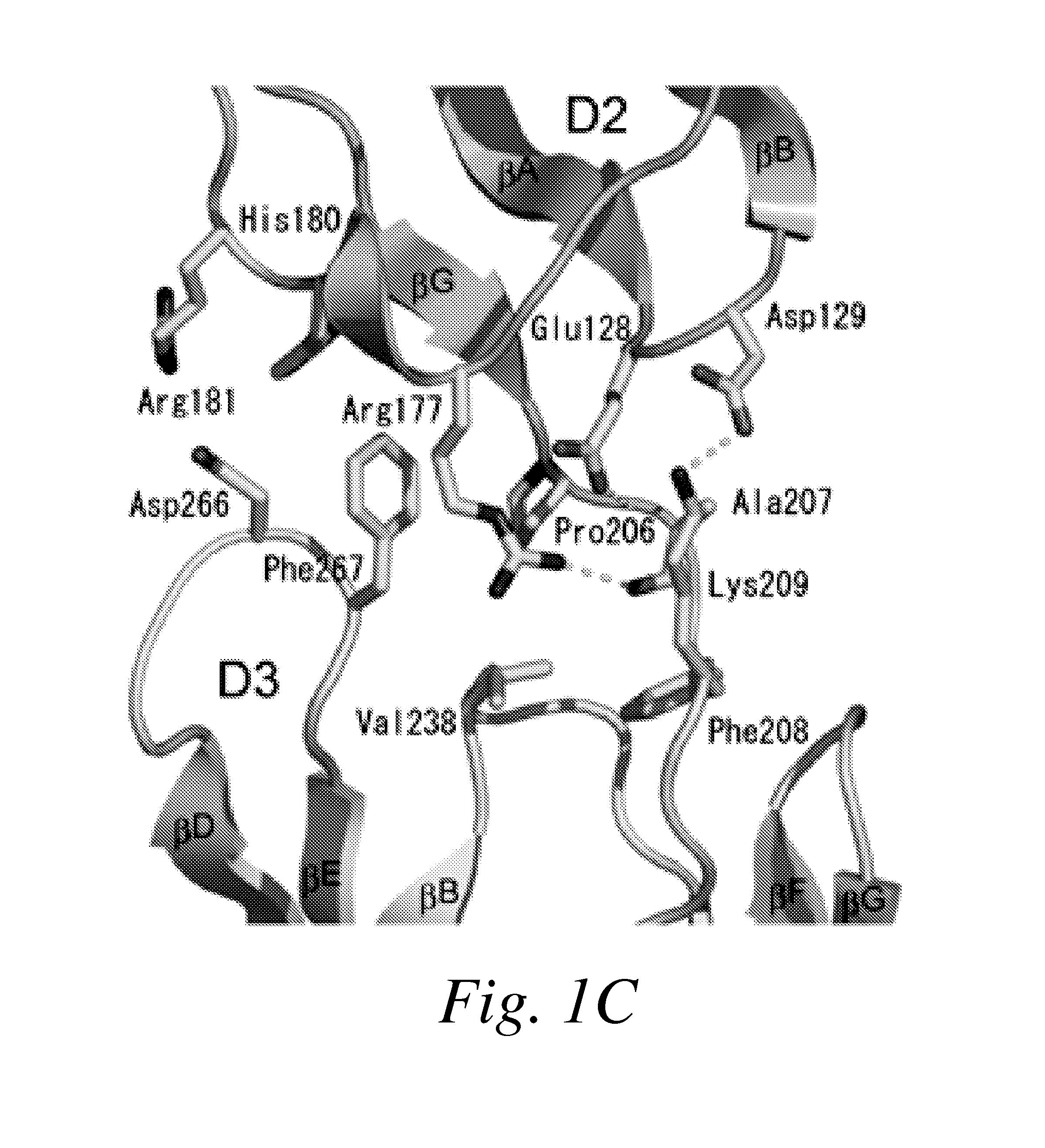Inhibitors of vascular endothelial growth factor (VEGF) receptors and methods of use thereof