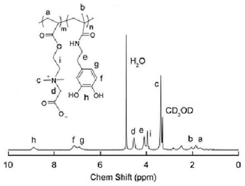 A long-lasting antibacterial multifunctional coating with enhanced stability and its preparation and application