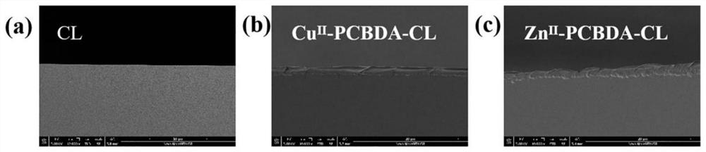 A long-lasting antibacterial multifunctional coating with enhanced stability and its preparation and application