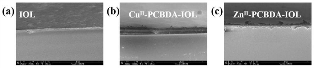 A long-lasting antibacterial multifunctional coating with enhanced stability and its preparation and application