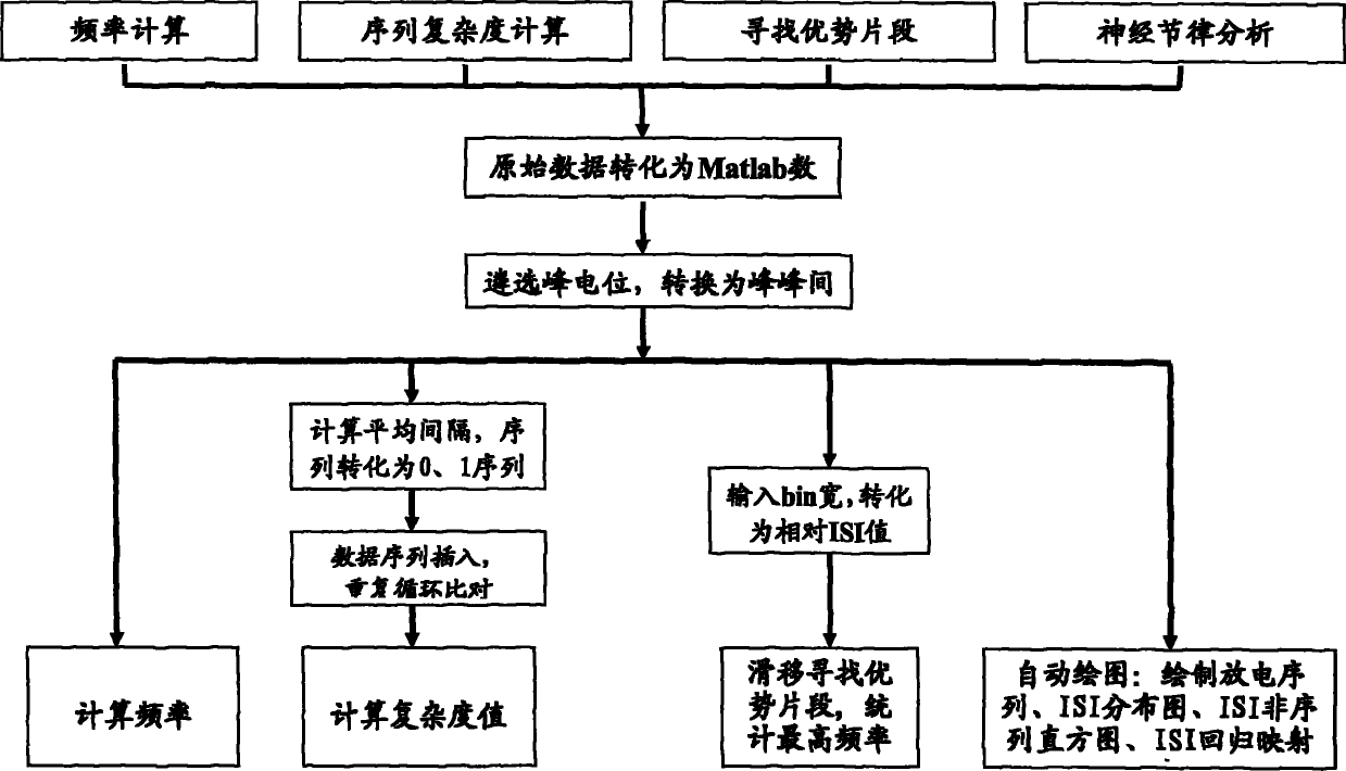 Unit discharge analysis method and system of neuron information