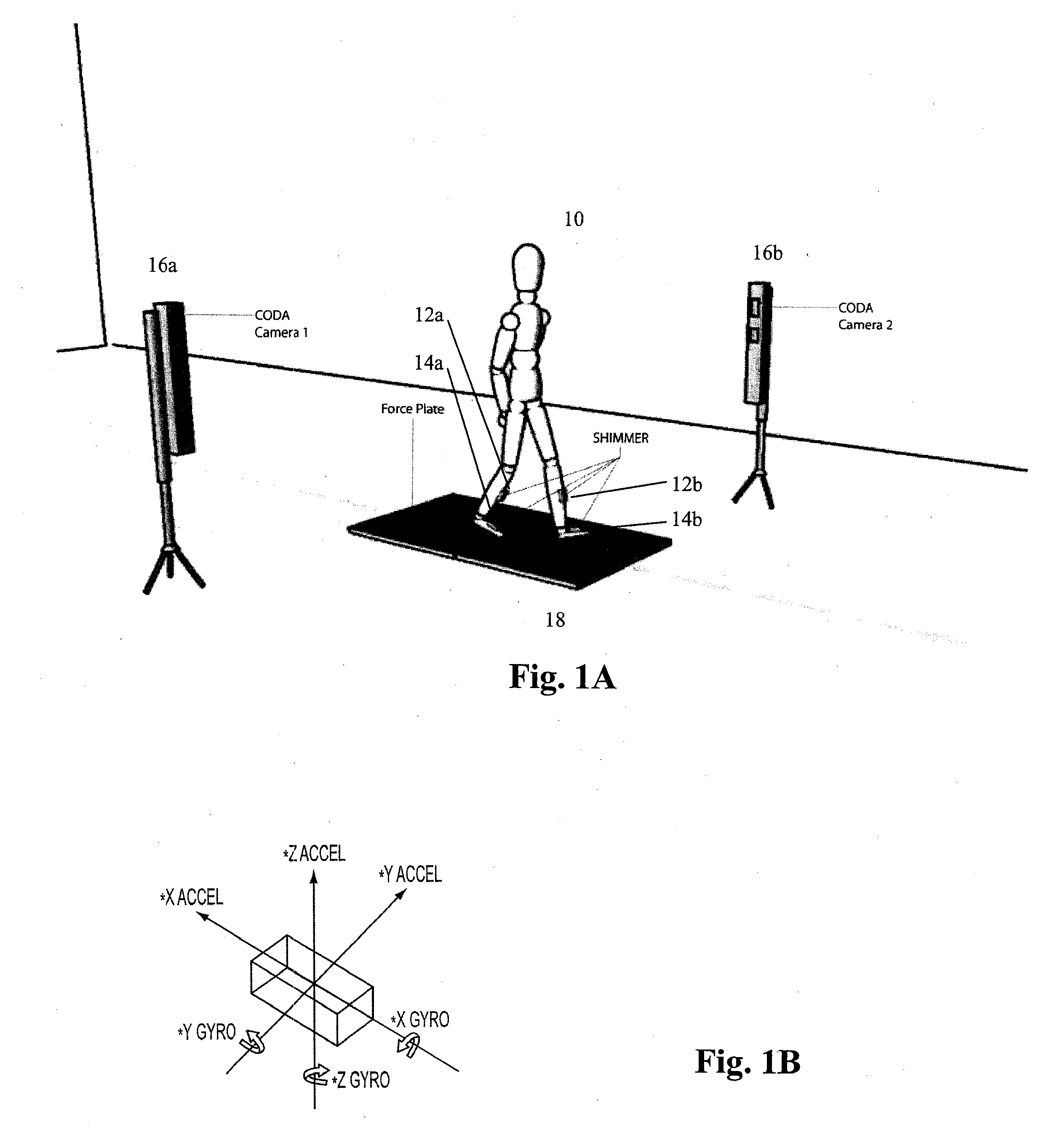 Calculation of minimum ground clearance using body worn sensors