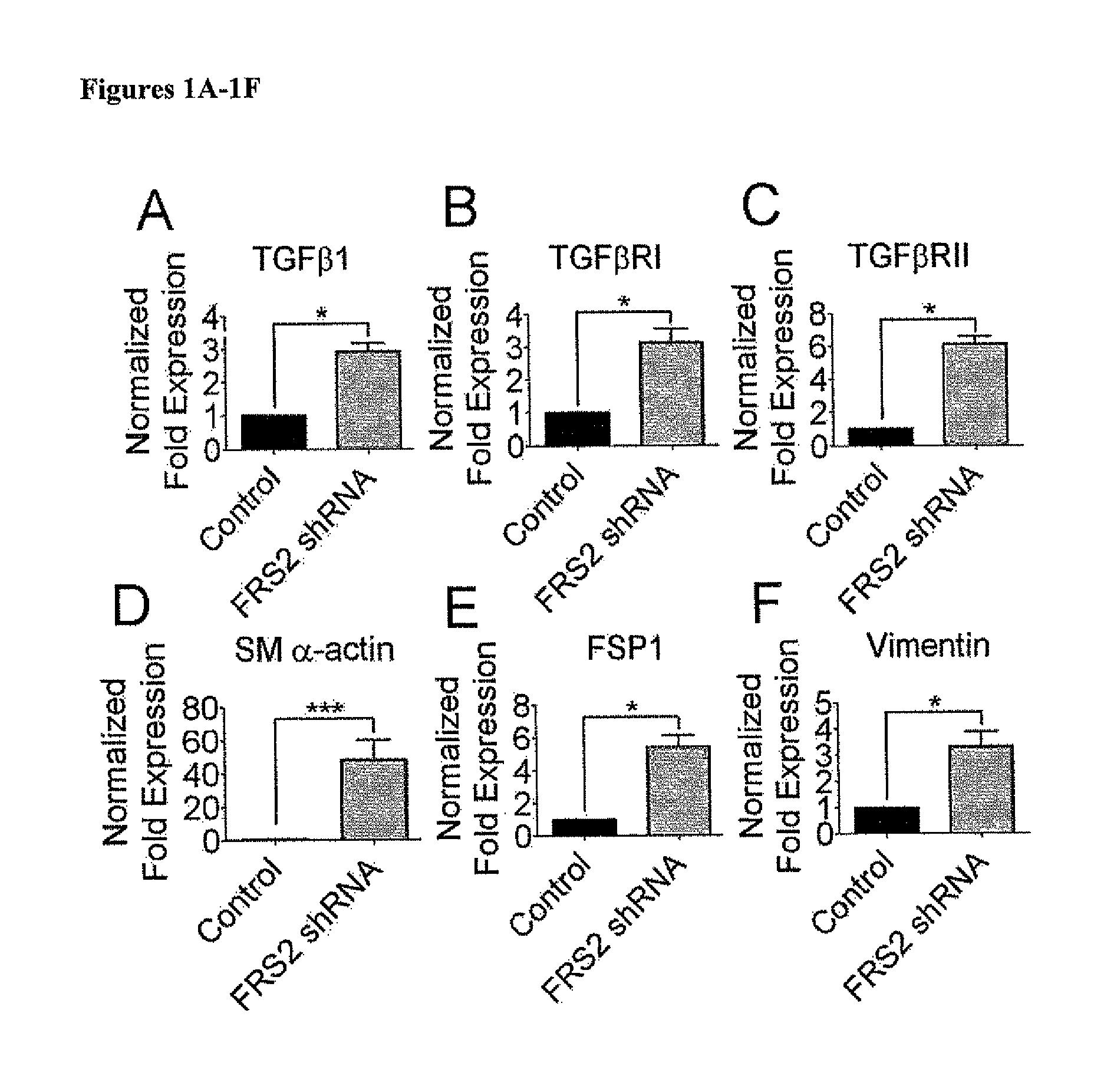 Compositions and methods for treating and preventing neointimal stenosis