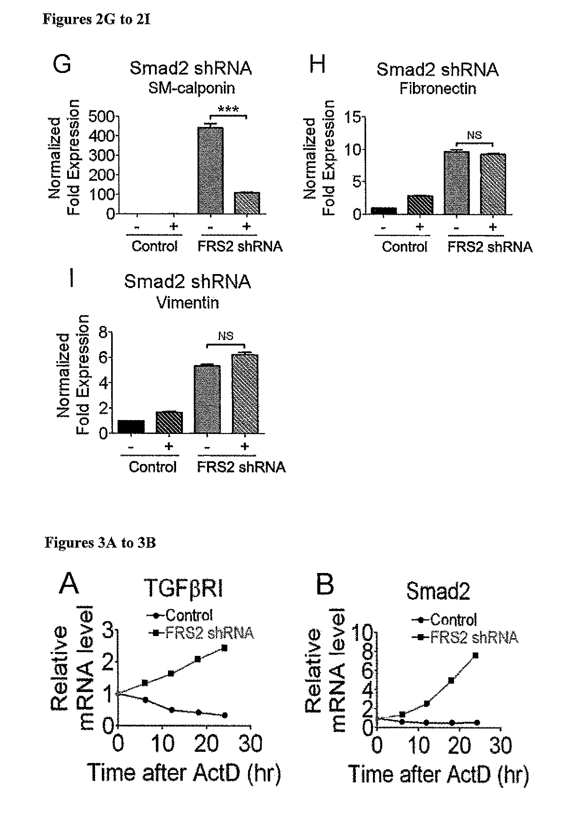 Compositions and methods for treating and preventing neointimal stenosis