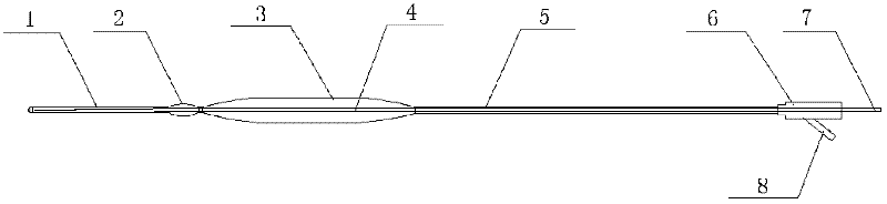 Body cavity plugging device with double-blocking effect and application thereof