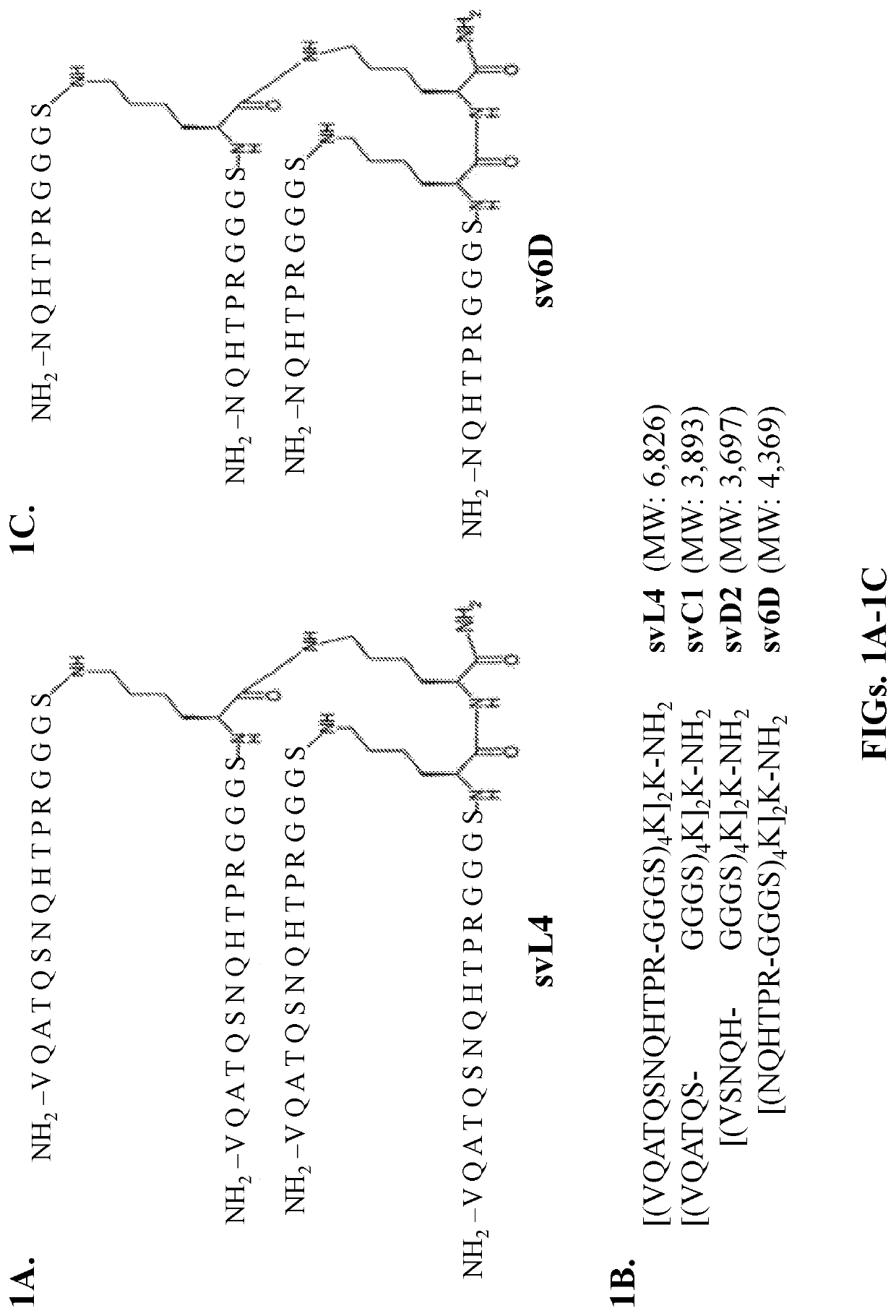 Compositions and methods of treating cancer with glycomimetic peptides