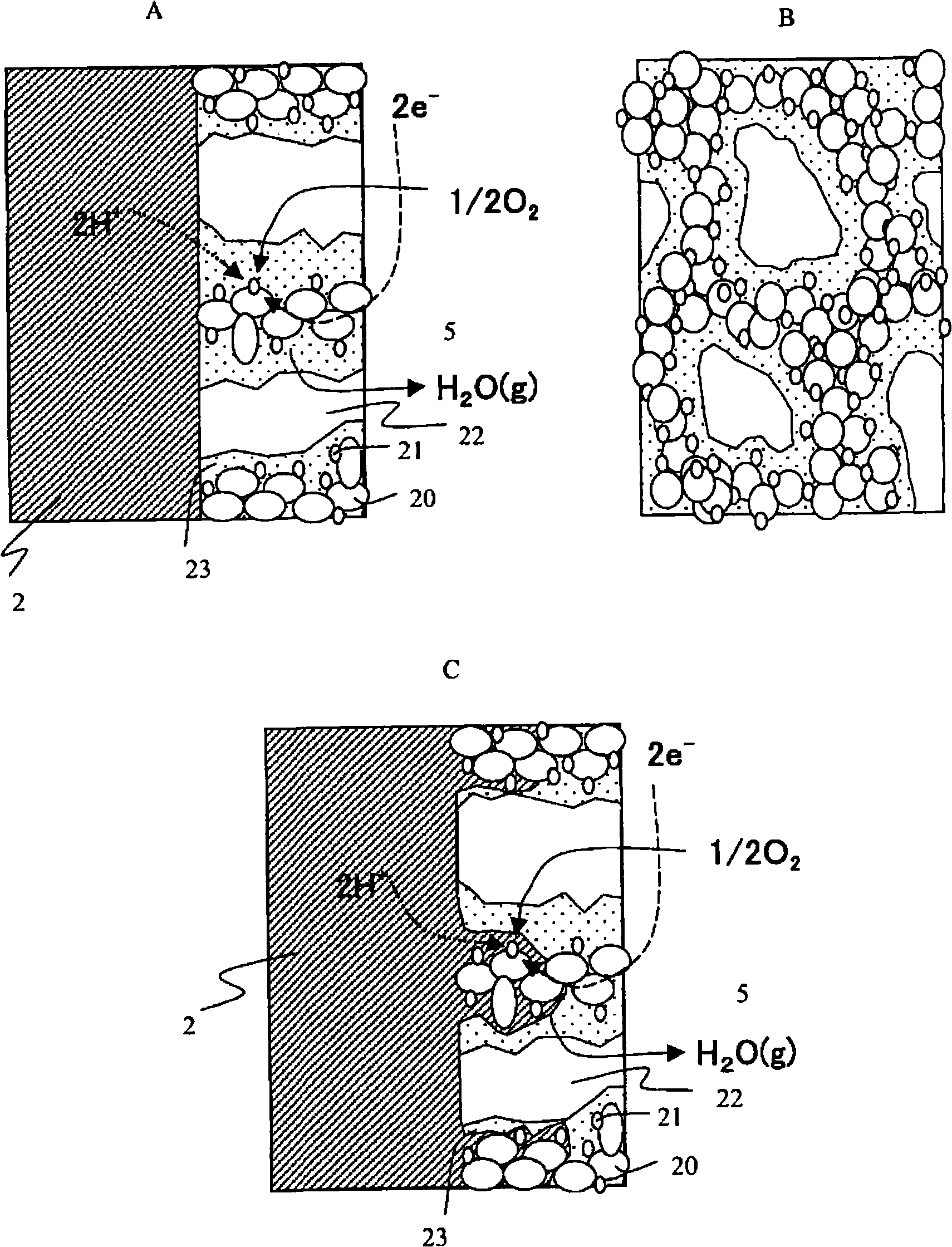 Anode for biological power generation and power generation method and device utilizing it