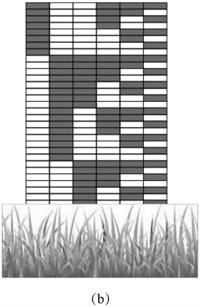 Portable measuring instrument and measuring method capable of simultaneously measuring vegetation coverage and height