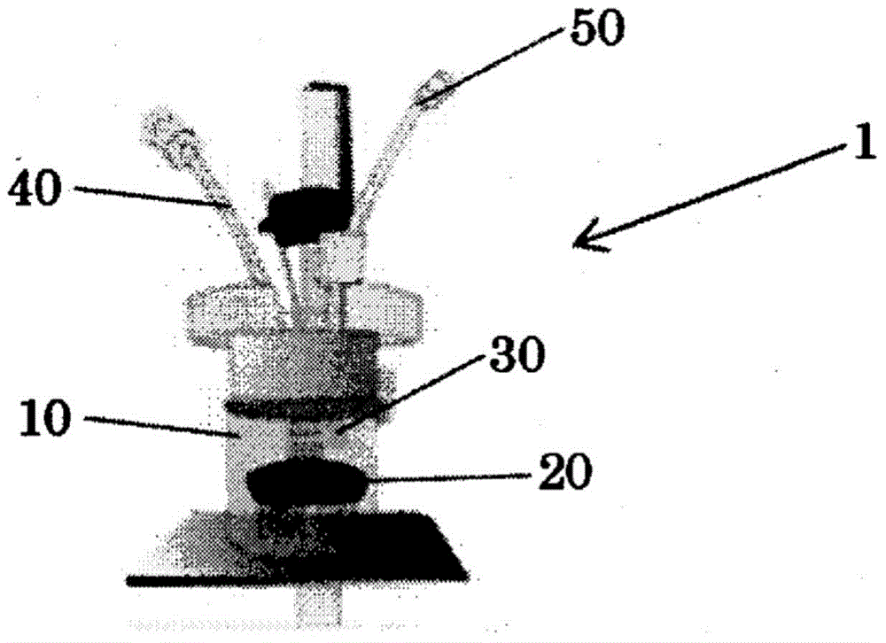 Gold cluster catalyst and method for producing same