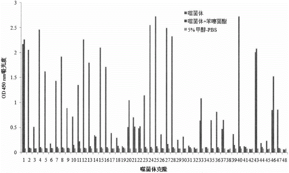 Polypeptide specifically combined with benzothiostrobin antibodies and application thereof