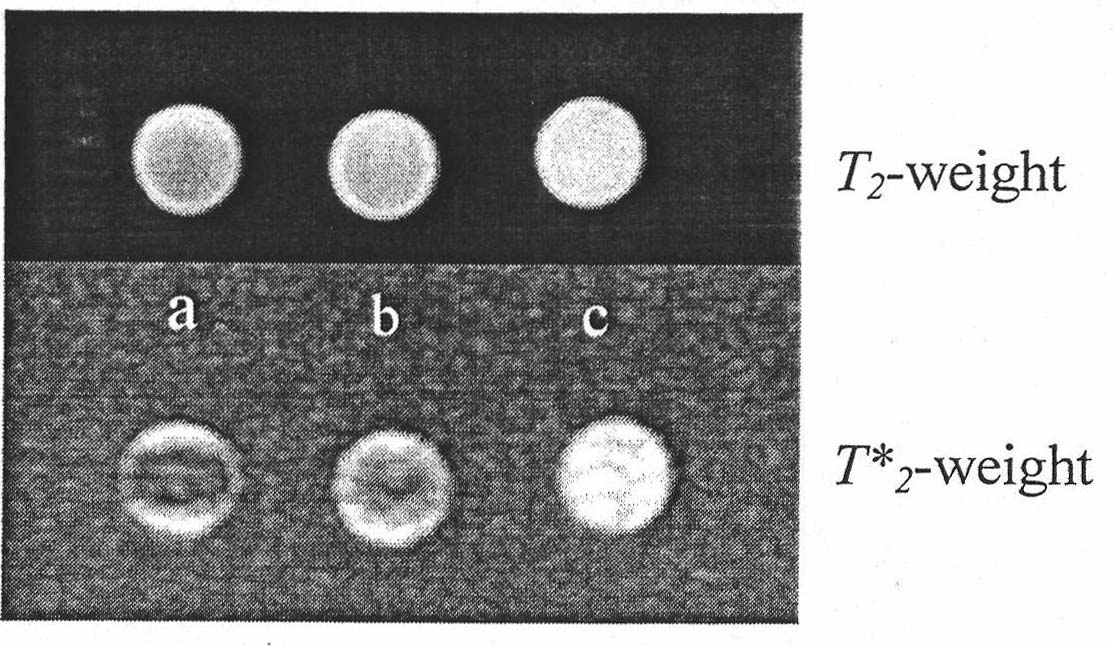 Preparation and application of polymer-coated magnetic nanoparticle contrast agent