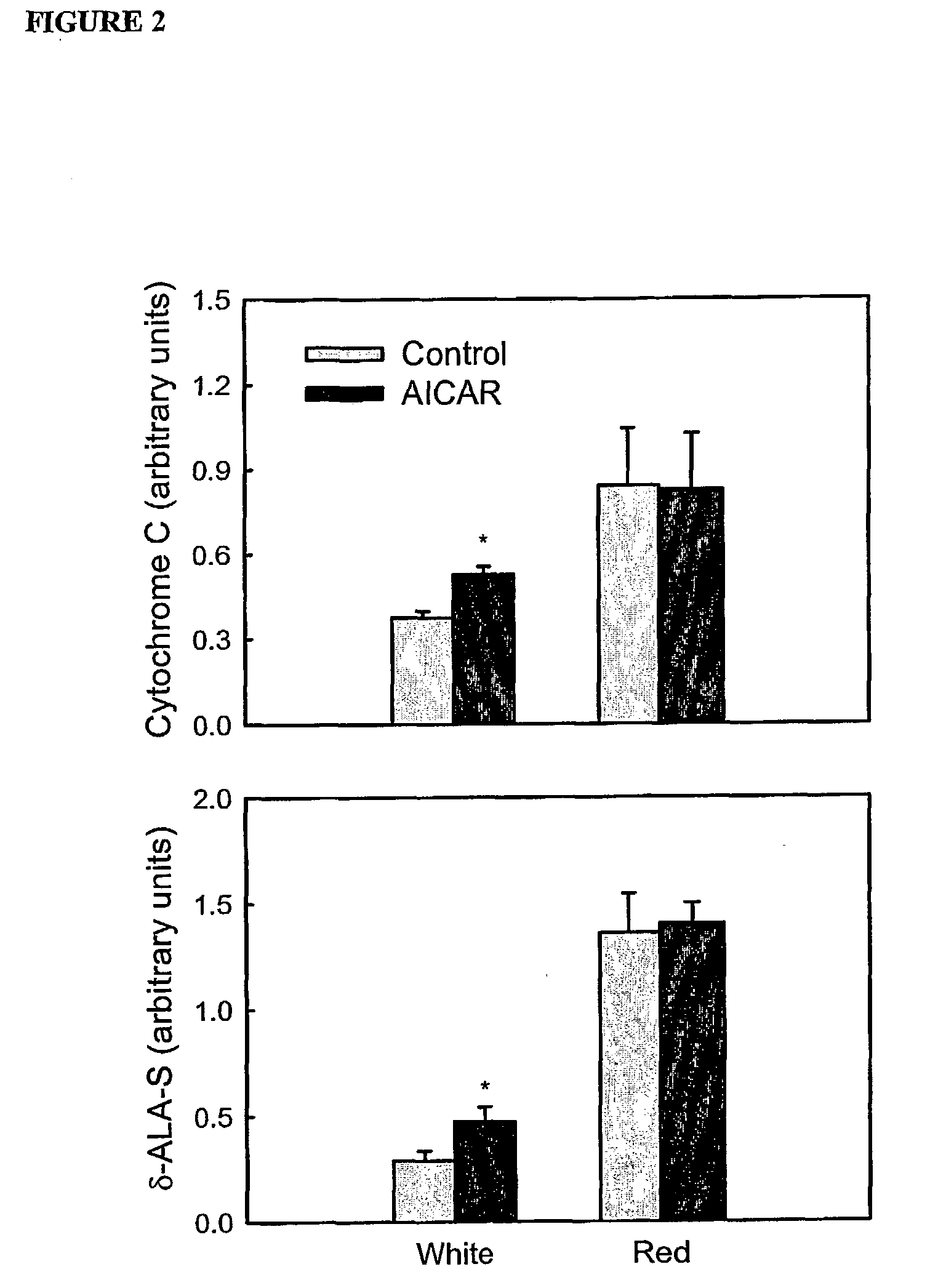 Method of treatment of obesity and paralyzed muscle and ergogenic aids