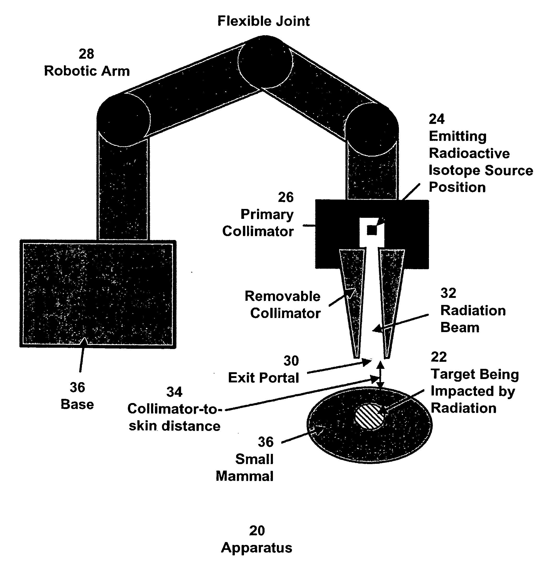 Enhanced micro-radiation therapy and a method of micro-irradiating biological systems
