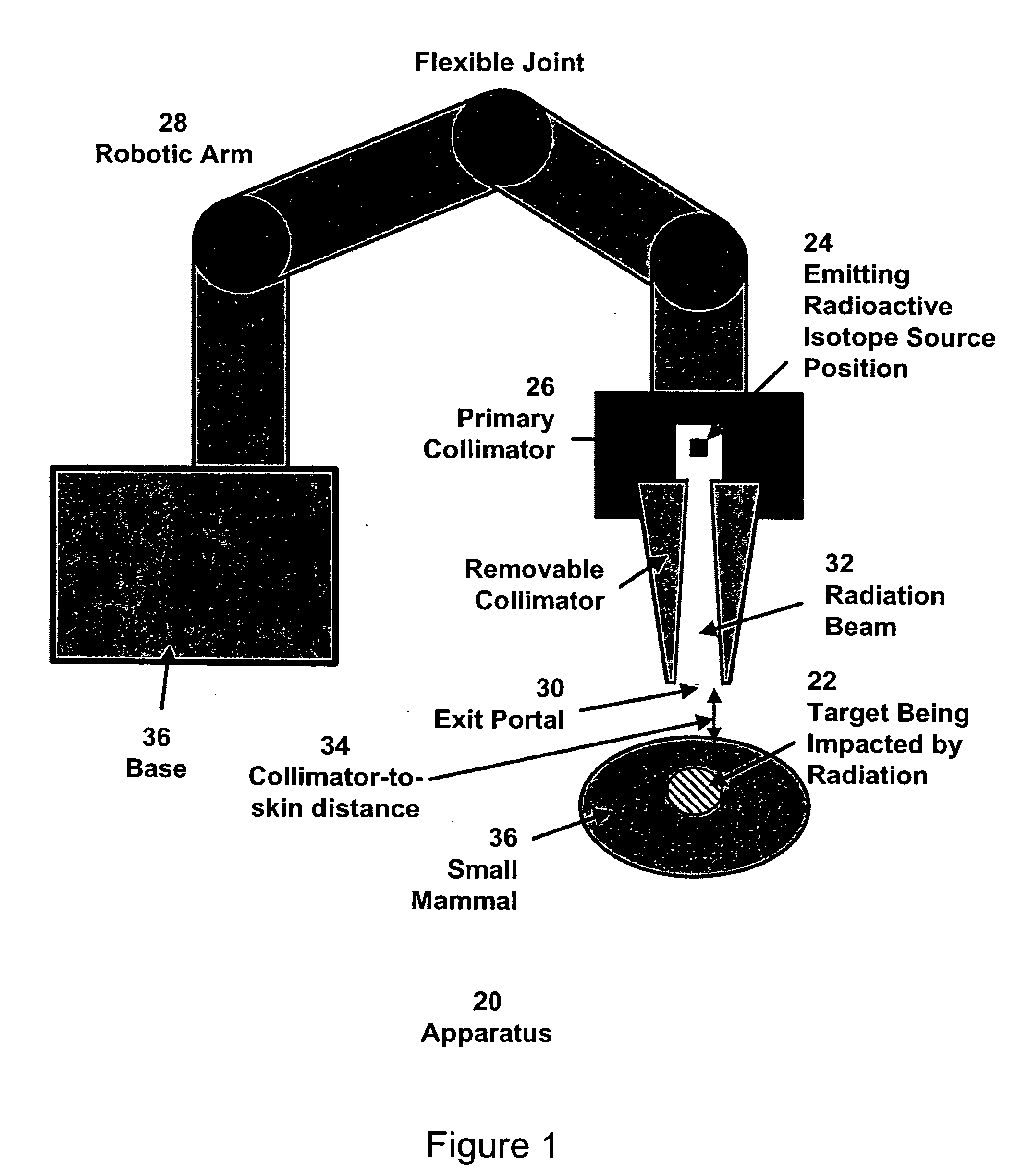 Enhanced micro-radiation therapy and a method of micro-irradiating biological systems