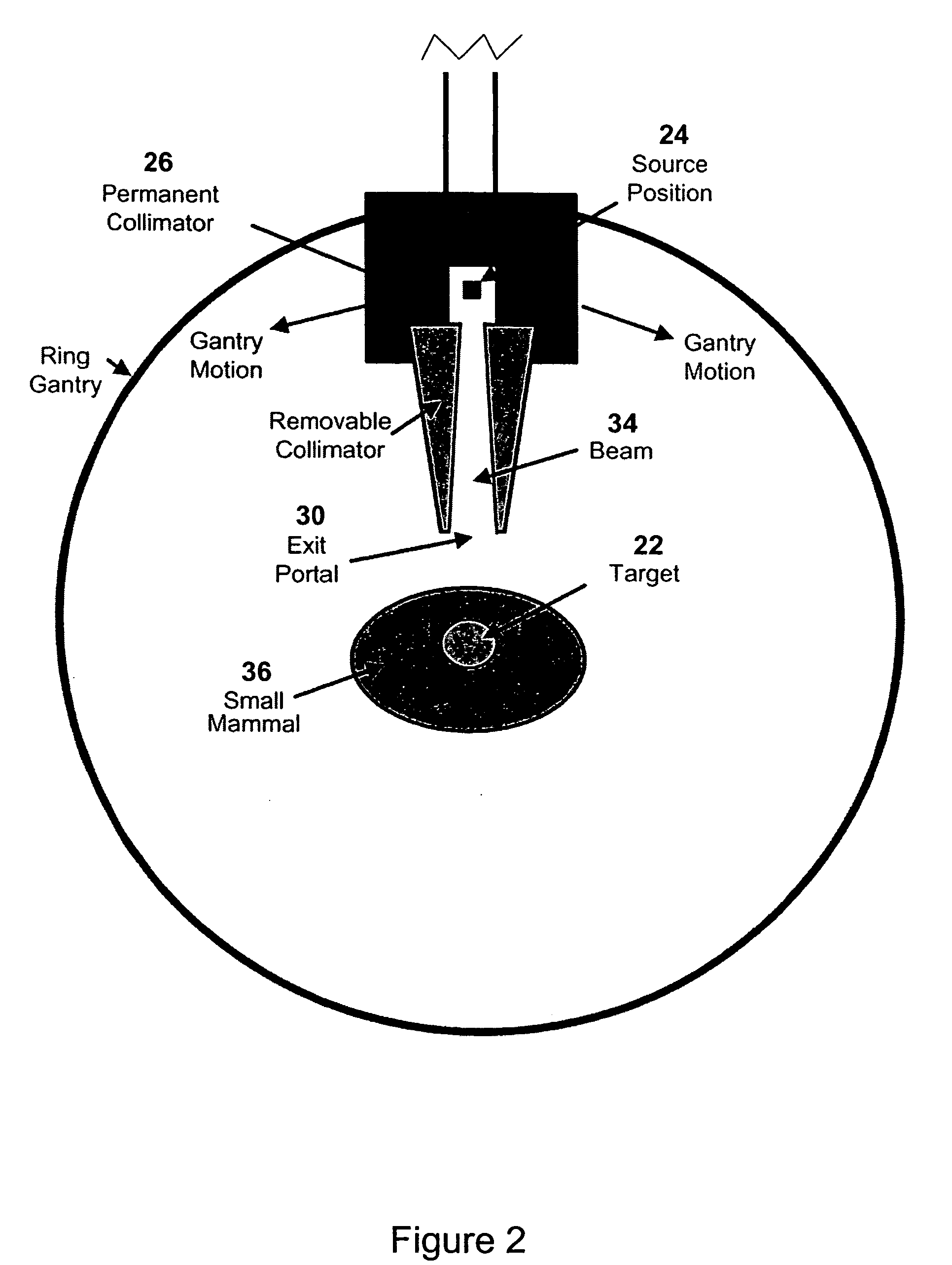 Enhanced micro-radiation therapy and a method of micro-irradiating biological systems