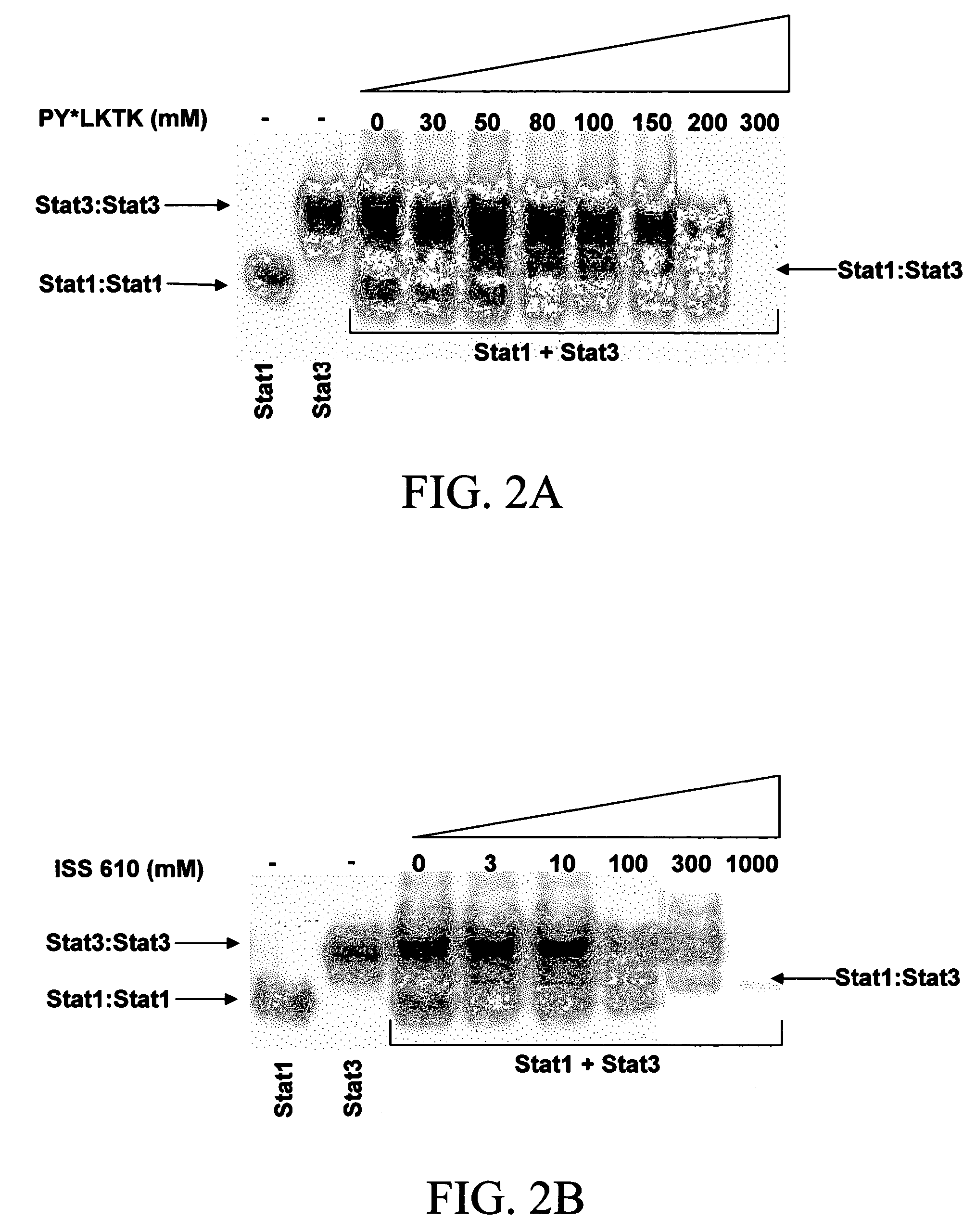 Peptidomimetic inhibitors of STAT activity and uses thereof